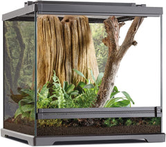 Exo Terra Dart Frog Terrarium