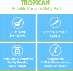Hagen Tropican Hand Feeding Parrot Food, Baby Bird Food for Optimal Growth
