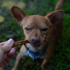 Loving Pets Natural Value Beef Sticks - Soft Jerky Dog Treats for Large & Small Breeds - Healthy Gluten, Wheat, Soy & Grain Free Pet Treats for Dogs