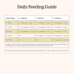 Now Fresh Grain-Free, Dry Dog Food, Real Meat and Fish, Turkey, Salmon and Duck Puppy Recipe, All Breed Size, 3.5 lb Bag