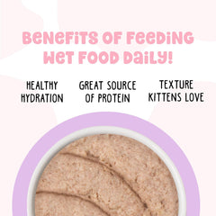 B.F.F. Kitten Food, Cute to Boot with Chicken in a Hydrating Puree