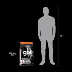 Go! Solutions Sensitivities Limited Ingredients, Grain-Free Dry Dog Food, Small Bites Salmon Recipe for Sensitive Stomach