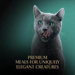 Sheba Perfect Portions Wet Cat Food Cuts in Gravy Variety Pack, Roasted Chicken Entree, and Tender Turkey Entree