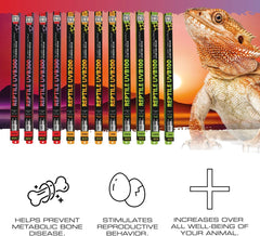 Exo Terra Reptile UVB200 VHO T5 Bulb
