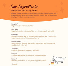 kin+kind Organic Pumpkin Powder for Dogs & Cats for Healthy Poop - Made in USA - Natural Pumpkin Powder Formula w/Flax Seed, Ginger, Turmeric & Coconut - Nutritional Supplement