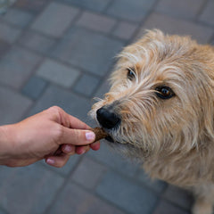 Loving Pets Natural Value Duck Sausages - Soft Jerky Dog Treats for Large & Small Breeds - Healthy Gluten, Wheat, Soy & Grain Free Pet Treats for Dogs