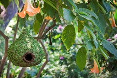 Galápagos SuperMoss (56010) Raindrop Birdhouse with Chain, 10 by 13-Inch, Fresh Green