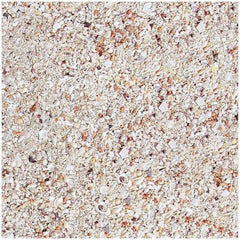 Worldwide Imports AWWH1022 Hawaiian Puca Shell for Aquarium Decor, 15-Pound