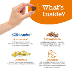 Zesty Paws Calming Chews for Dogs - for Everyday Stress, Relaxation, Composure, and Separation, 90 Count, Turkey - Melatonin