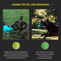 Playology Dri-Tech Ring Peanut Butter Dog Toy, Large