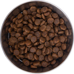 Health Extension Grain Free Salmon & Sweet Potato Dry Dog Food - Whole Foods Ingredients Formula with Omega 3 & Antioxidants for All Life Stages Dogs