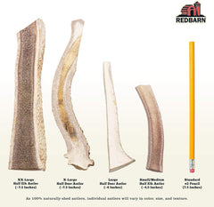 Redbarn Pet Products Half Deer Antler for Dogs