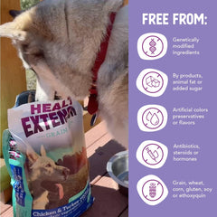 Health Extension Grain Free Chicken & Turkey Dry Dog Food (4 lb / 1.81 kg) - Whole Foods Ingredients Formula with a Blend of Turmeric & Antioxidants for All Life Stages Dogs