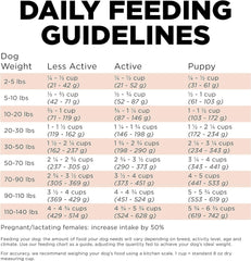 Go! Solutions Digestion + Gut Health, Dry Dog Food, Salmon Recipe with Ancient Grains