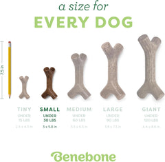 Benebone Bacon Stick Real Wood Durable Dog Chew Toy, Made in USA