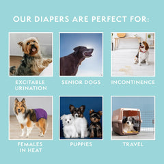 HERO PET Dog Simple Solution Washable Dog Diaper