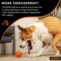 BIONIC Ball Dog Toy, Large - Interactive Dog Chew Toy That Stands Up to The Toughest Chewers