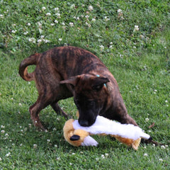 Skinneeez Extreme Quilted Fox - Durable, Stuffing Free Dog Toy with 4 Layers of Diamond Stitched Fabric & 2 Squeakers- Ideal for Medium and Large Aggressive Puppies and Dogs