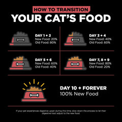 Go! Solutions Sensitivities Limited Ingredient, Grain-Free Dry Cat Food, Salmon Recipe for Sensitive Stomach