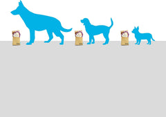 Barkbox 2-in-1 Interactive Plush Puzzle Dog Toys - Squeaky Pet and Puppy Enrichment Toys for Small, Medium, and Large Dogs | Brown Baggin' It PB&J