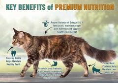 Chicken Soup for The Soul All Natural Premium Indoor w/Hairball Care Adult Dry Cat Food, Real Meat First Ingredient, No by-Products, Supports Intestinal Health, Chicken & Brown Rice