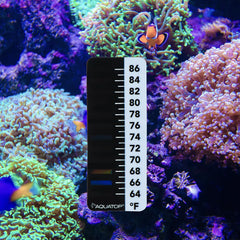 Click to play video AQUATOP Stick-on LCD Thermometer