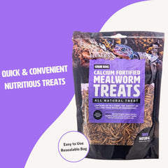 Fluker’s Grub Bag All Natural Calcium Fortified Mealworm Treats, Packed with Protein, Rich in Nutrients, A Reptile Favorite, 3 oz
