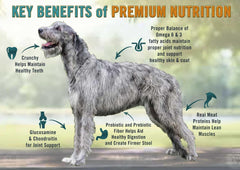 Chicken Soup for the Soul All Natural Premium Large Breed Adult Dry Dog Food, Real Meat First Ingredient, No By-Products, Supports Heart, Gut & Immune Health, Chicken, Turkey & Brown Rice