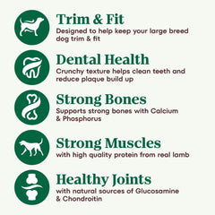 Nutro Natural Choice Adult Large Breed Dry Dog Food, Lamb and Brown Rice Recipe, 30 lbs.