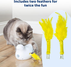 Peek-A-Bird Cat Toy Replacement Feathers – 2 Pack Refill Parts – Interactive Teaser Toy for Indoor Cats