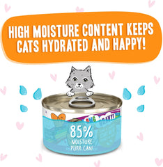 Weruva B.F.F. OMG - Best Feline Friend Oh My Gravy!, Tuna & Salmon Start Me Up with Tuna & Salmon