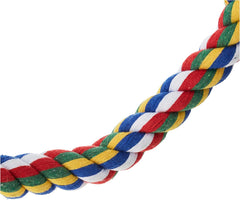 JW Pet Swing N' Perch