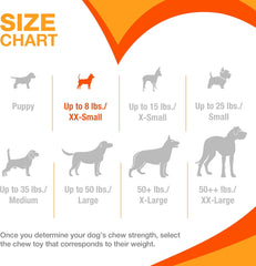 Nylabone Moderate Chew Flexi Chew Bone Peanut Butter & Bacon