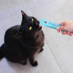 Weruva Puddy Pops, Tuna and Salmon Lickable Cat Treats 0.5oz Tube, Pack of 5