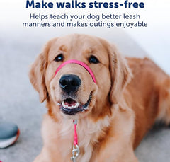 PetSafe Gentle Leader No-Pull Dog Headcollar - The Ultimate Solution to Pulling - Redirects Your Dog's Pulling for Easier Walks - Helps You Regain Control - X-Large