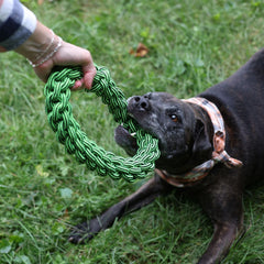 Jolly Pets TIK-Tak-Tugzz Rope Dog Toy