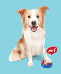 SPOT Easy-Talk-Dog Buttons for Communication, 20s Voice Recording Buttons, Pet Training Buzzer, Speaking Buttons for Cats & Dogs Voice, Dog & Puppy Training & Behavior Aids