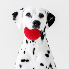 Playology Plush Squeaky Ball , All Natural Beef Scented Plush Dog Toy