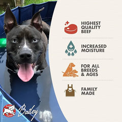 Fromm Four-Star Nutritionals Shredded Beef in Gravy Entrée Dog Food - Premium Wet Dog Food - Beef Recipe - Case of (12) 12 oz Cans