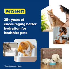 PetSafe Oasys 1 Gallon (128 Ounce) Medium Pet Fountain - Cat or Medium Breed Dog Water Fountain - Dishwasher Safe Filtered Water Dispenser with Flow Control - Filters Included - Easy to Clean