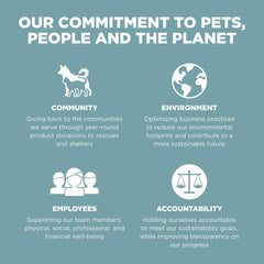 Go! Solutions Digestion + Gut Health, Dry Cat Food, Chicken Recipe with Ancient Grains