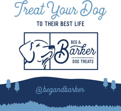 Beg & Barker Turkey Jerky Strips for Dogs - Dog Training Treats - Natural Dog Treats Made in The USA - Grain Free, Diabetic-Friendly, High Protein, Sugar-Free