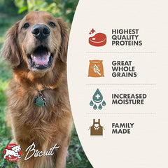 Fromm Venison & Beef Pate Dog Food - Premium Wet Dog Food - Venison Recipe - Case of 12 Cans