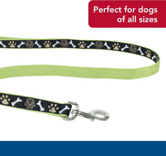 Coastal Pet Ribbon Dog Leash - Contemporary Stylish Look - Durable Fade-Resistant Nylon Material - Perfect for Dogs, 5/8" x 06'