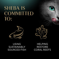 Sheba Perfect Portions Wet Cat Food Cuts in Gravy Variety Pack, Roasted Chicken Entree, with Sustainable Salmon, and Tender Turkey Entree 2.6-oz(Pack of 24)