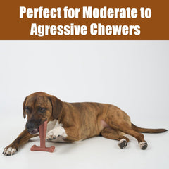 SPOT Bam-Bones Plus T Bone - Bamboo Fiber & Nylon, Durable Long Lasting Dog Chew for Aggressive Chewers – Great Toy for Adult Dogs & Teething Puppies Under 30lbs, Non-Splintering, Beef Flavor