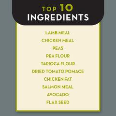 AvoDerm Natural Advanced Senior Health Grain Free Lamb Formula Dry Dog Food