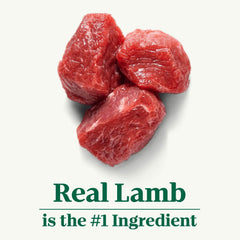 Nutro Natural Choice Puppy Dry Dog Food, Lamb and Brown Rice Recipe