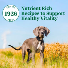 Nutro Natural Choice Large Breed Puppy Dry Dog Food, Chicken and Brown Rice Recipe, 30 lbs.