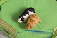 Prevue Pet Products Multi-Color Small Pet Playpen 40090